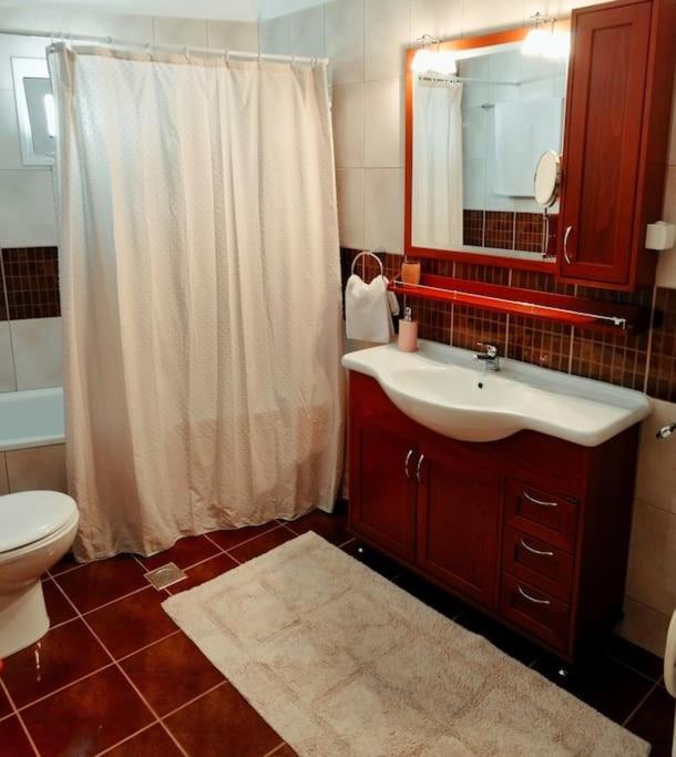 Evaggelia'S Apartments 5 Οικογενειακό Διαμέρισμα Cozani Exterior foto